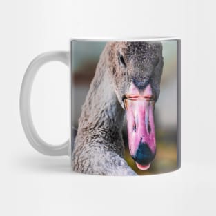 Cheeky Swan. Photograph Mug